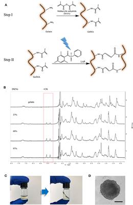 Study on Development of Composite Hydrogels With Tunable Structures and Properties for Tumor-on-a-Chip Research